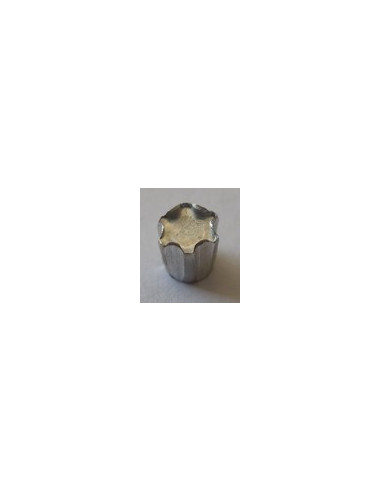 1 x ELEMENT ANTI-INTRUSION TORX T40 Acier zingué