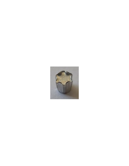 1 x ELEMENT ANTI-INTRUSION TORX T40 Acier zingué
