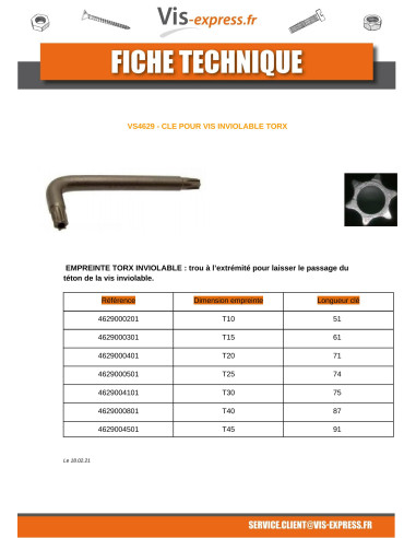 1 x Clé Pour Vis Inviolable TORX T10 Acier brut