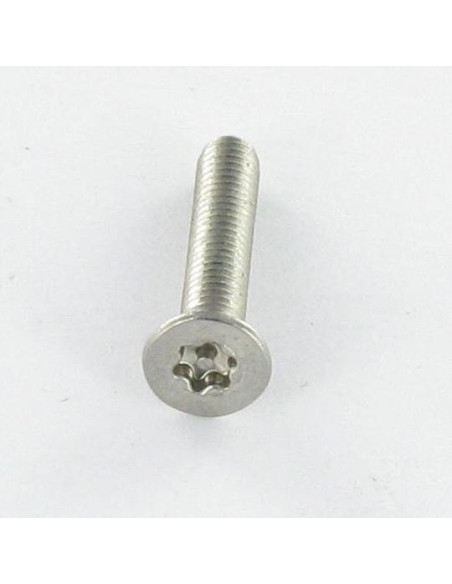 1 x Vis métaux Inox A2 Inviolable Tête fraisée TORX T25 avec téton M5X25