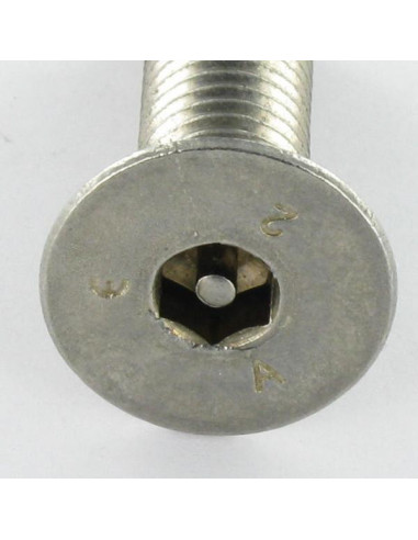 1 x Vis métaux Inox A2 Inviolable FHC tête...