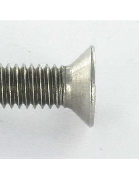 1 x Vis métaux Inviolable Tête fraisée Snake eyes M6X30 Inox A2