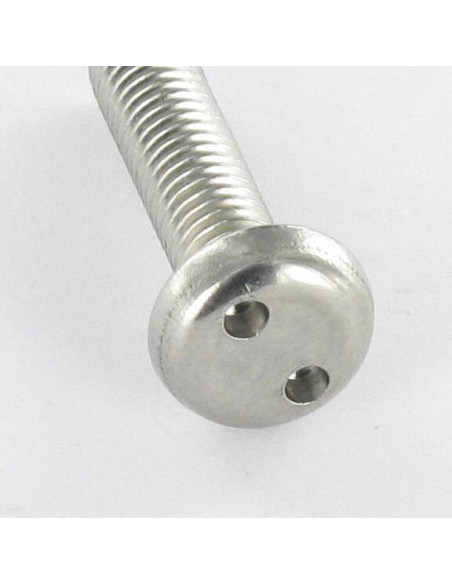 1 x Vis métaux Inviolable Tête cylindrique TC SNAKE EYE M5X16 Inox A2 EMBT10