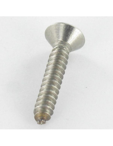 1 x Vis tôle Inviolable Inox A2 Tête fraisée...
