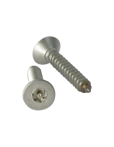 1 x Vis tôle Inviolable Inox A2 Tête fraisée TORX T20 avec téton 4.2X38