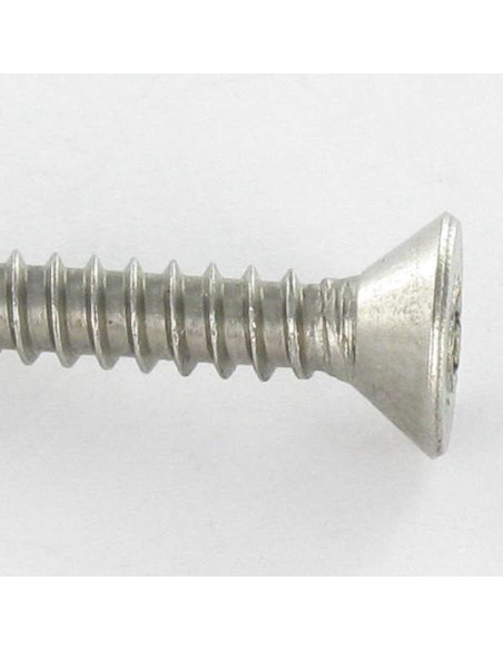 1 x Vis tôle Inviolable Inox A2 Tête fraisée TORX T20 avec téton 4.2X38