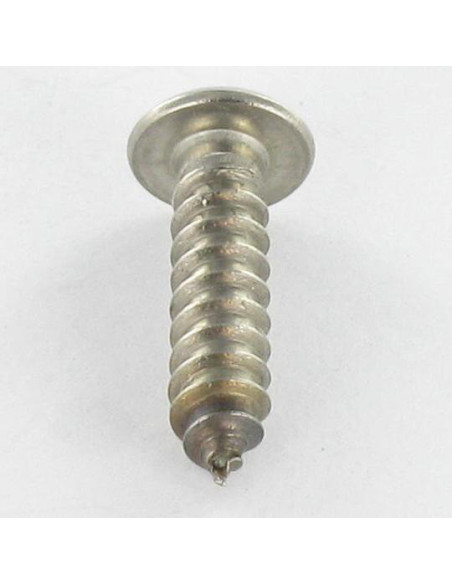 1 x Vis tôle Inviolable Inox A2 Tête cylindrique TC TORX T15 avec téton 4.2X13