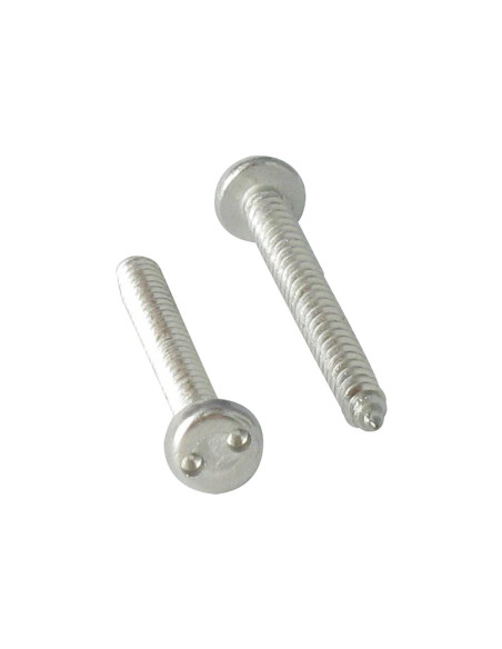 1 x Vis tôle Inviolable Tête cylindrique TC Snake eyes 4.8X50 Inox A2