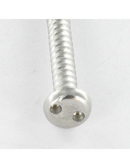1 x Vis tôle Inviolable Tête cylindrique TC Snake eyes 3.5X25 Inox A2