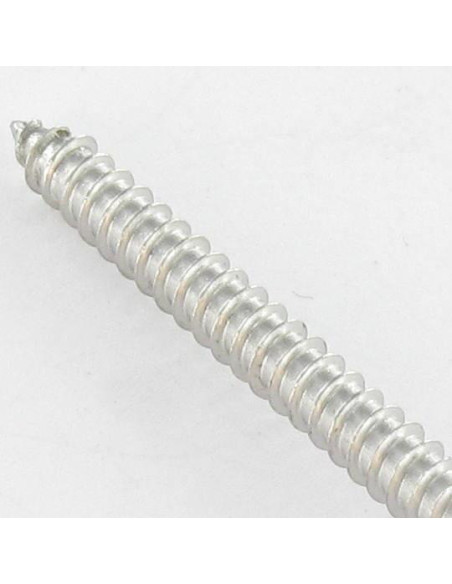 1 x Vis tôle Inviolable Tête cylindrique TC Snake eyes 4.2X25 Inox A2
