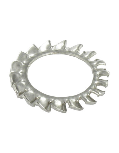 1 x Rondelle éventail Inox A4 à dentures...