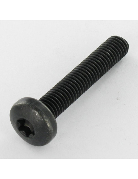 1 x Vis métaux Tête bombée TORX T40 M8X45 Classe 10.9 Acier brut zingué nickel noir 480 hbs sans rouille rouge - Noir