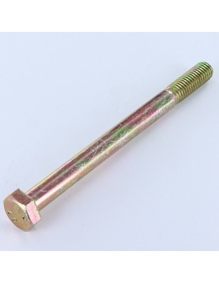 1 x Corps de boulon filetage partiel Tête hexagonale TH M8X100 Classe 6.8 Bichromaté