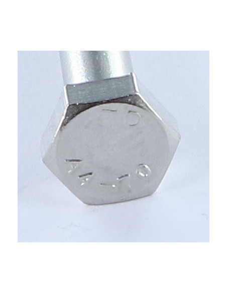 1 x Corps de boulon filetage partiel Tête hexagonale TH M10X80 Inox A4