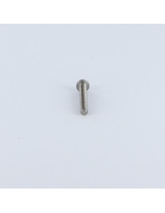 Vis métaux tête cylindrique bombée large Fendue M2X16... 2