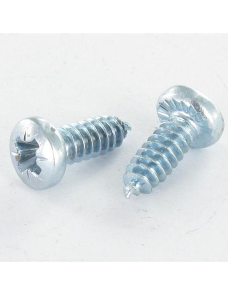 1 x Vis pvc tête cylindrique bombée large Pozi Cranté 4.3X12 Autoperceuse Filet 30 Acier zingué