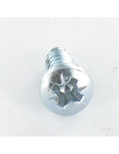 1 x Vis pvc tête cylindrique bombée large Pozi...