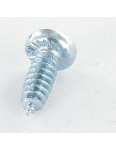 1 x Vis pvc tête cylindrique bombée large Pozi...