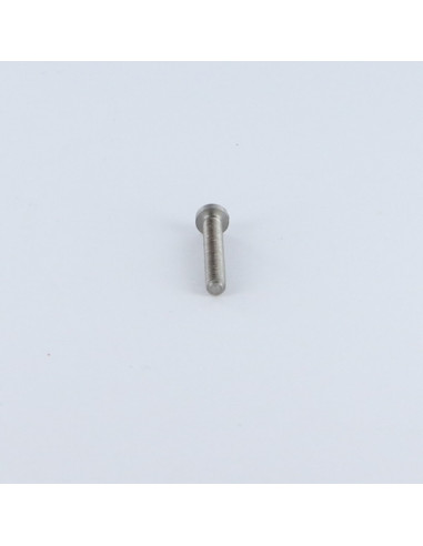 1 x Vis métaux tête cylindrique bombée large...