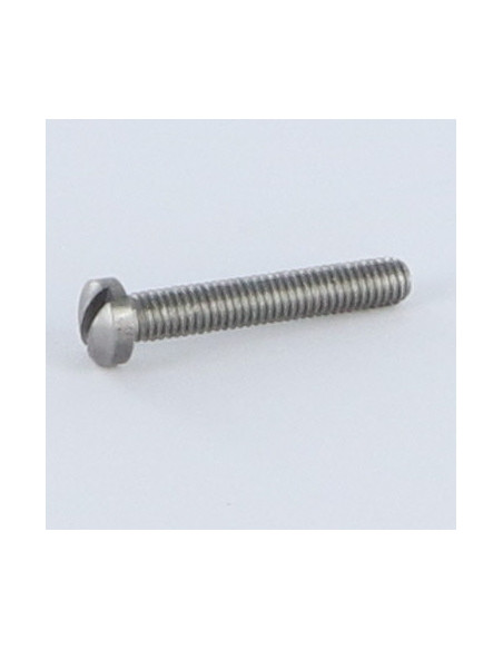 1 x Vis métaux tête cylindrique bombée large Fendue M2X26 Acier zingué microvis