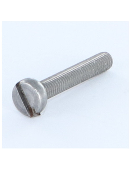 1 x Vis métaux Tête cylindrique TC Fendue M3X4 Acier brut microvis