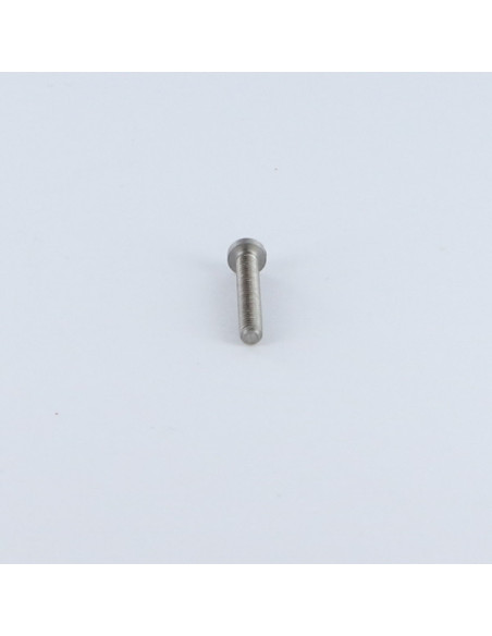 1 x Vis métaux tête cylindrique bombée large Fendue M3X4 Acier brut microvis