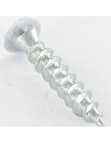 1 x Vis pvc Tête fraisée Phillips 4.2X25 Acier...