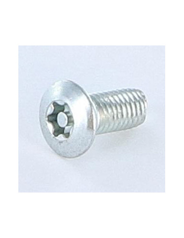 1 x Vis autotaraudeuse Inviolable 5X12 Tête...