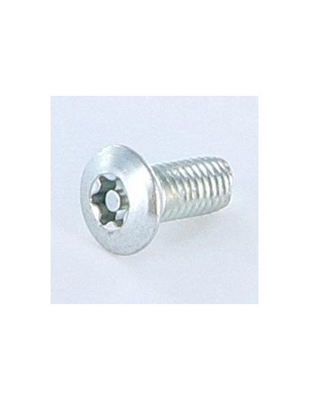 1 x Vis autotaraudeuse Inviolable 5X12 Tête fraisée bombée TFB T25+TETON Acier zingué