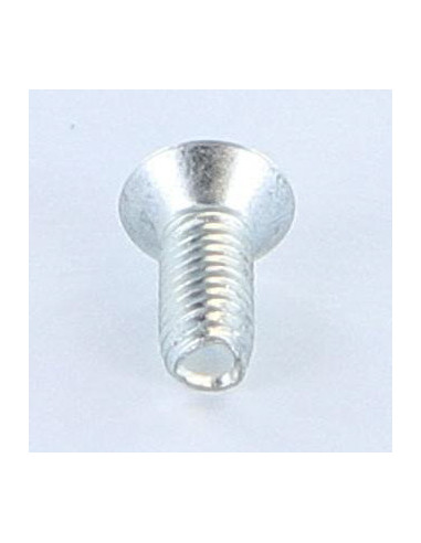 1 x Vis autotaraudeuse Inviolable 5X12 Tête...