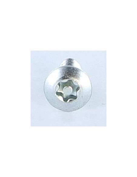 1 x Vis autotaraudeuse Inviolable 5X12 Tête fraisée bombée TFB T25+TETON Acier zingué