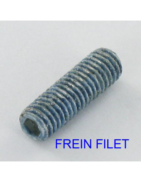 1 x Vis métaux Sans tête six pans creux (sthc) Clé de 3 HC3 M6X12 Bout plat Acier zingué + Frein filet