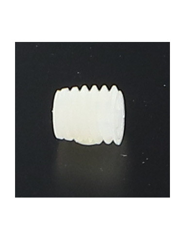 1 x Vis métaux Nylon Sans tête six pans creux...