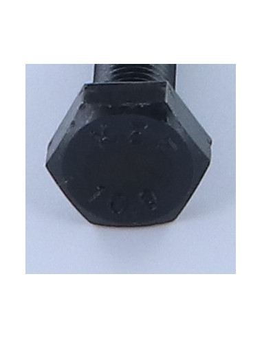 1 x Vis métaux Tête hexagonale TH M12X35 Classe...