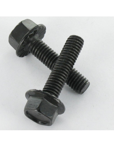 1 x Vis métaux Tête hexagonale TH M6X12 Acier...