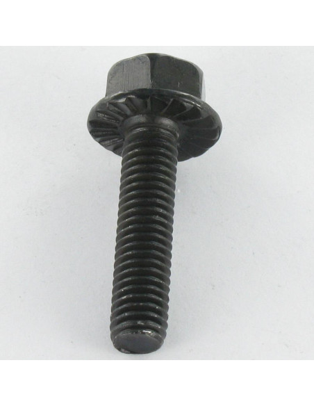 1 x Vis métaux Tête hexagonale TH M6X12 Acier zingué noir Embase collerette crantée