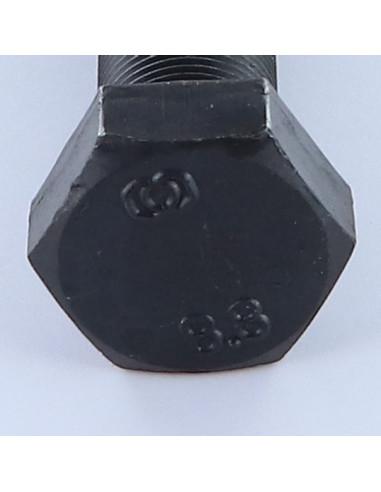 1 x Vis métaux Tête hexagonale TH M16X100...