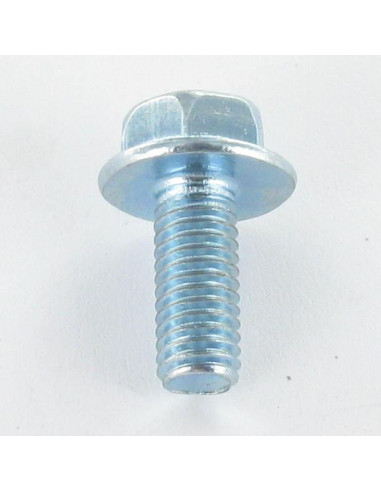 1 x Vis métaux Tête hexagonale TH M6X10 Embase...