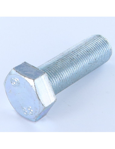 1 x Vis métaux Tête hexagonale TH M20X60...