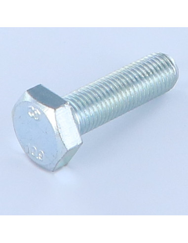 1 x Vis métaux Tête hexagonale TH M14X35 Classe...