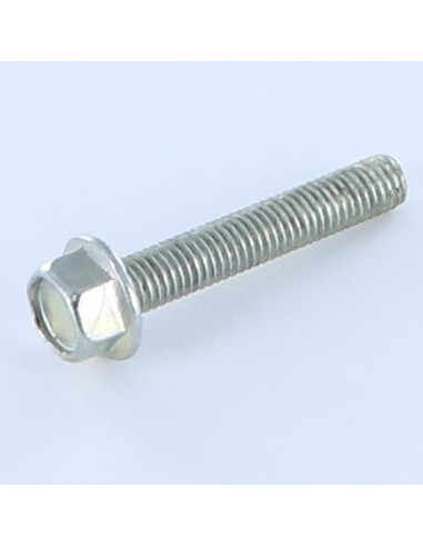 1 x Vis métaux Tête hexagonale TH M8X30 Acier...