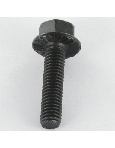 1 x Vis métaux Tête hexagonale TH M6X16 Acier...