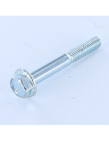 1 x Vis métaux Tête hexagonale TH M6X45 Embase...