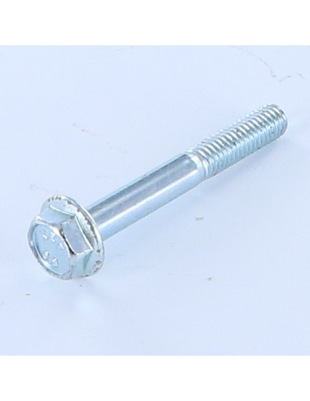 1 x Vis métaux Tête hexagonale TH M6X45 Embase lisse Acier zingué