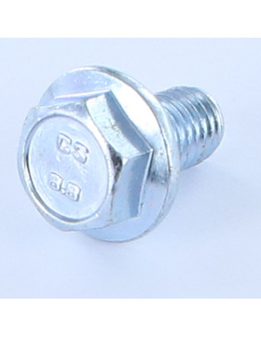 1 x Vis métaux Tête hexagonale TH M12X40 Embase...
