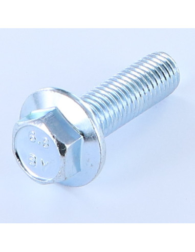 1 x Vis métaux Tête hexagonale TH M12X40 Embase...