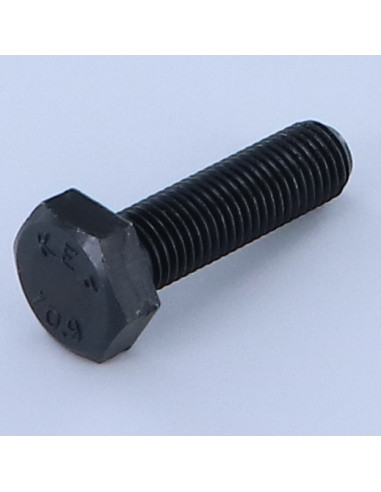 1 x Vis métaux Tête hexagonale TH M10X40 Classe...