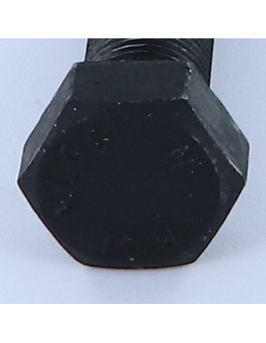 1 x Vis métaux Tête hexagonale TH M20X75 Classe...