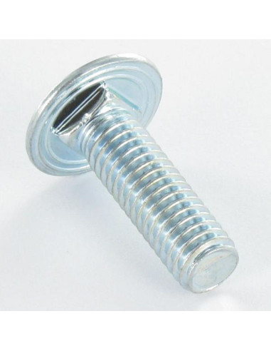 1 x TRCC JAPY tête ronde collet carré M6X12...