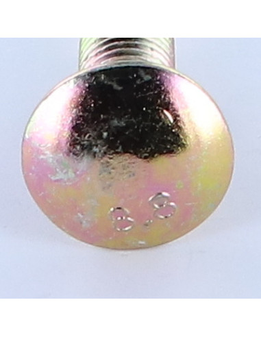 1 x TRCC JAPY tête ronde collet carré M12X50...